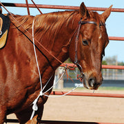 String Martingale