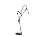 Black Tracer Black Paracord Noseband Rope Halter with Attached 10ft Lead
