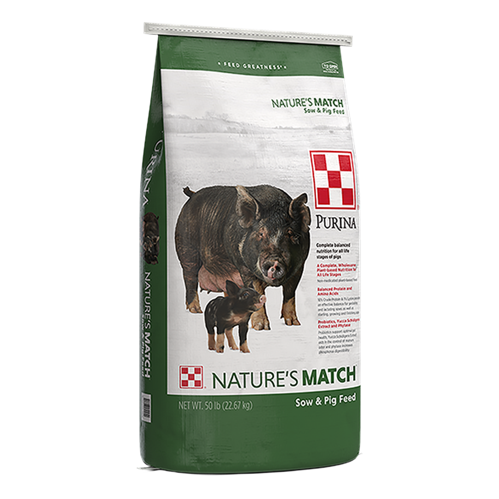 Swine Feed