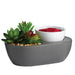 Succulent Art Scents Wax Warmer