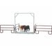 Kid's Buster Cattle Guard