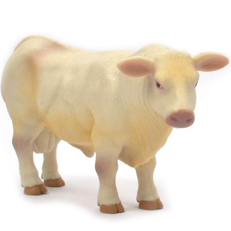 Kid's Buster Charloais Bull