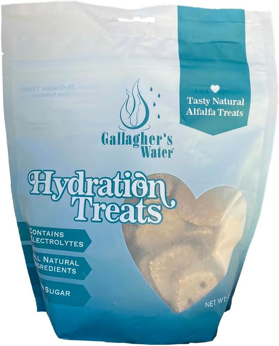 Hydration Treats 12oz