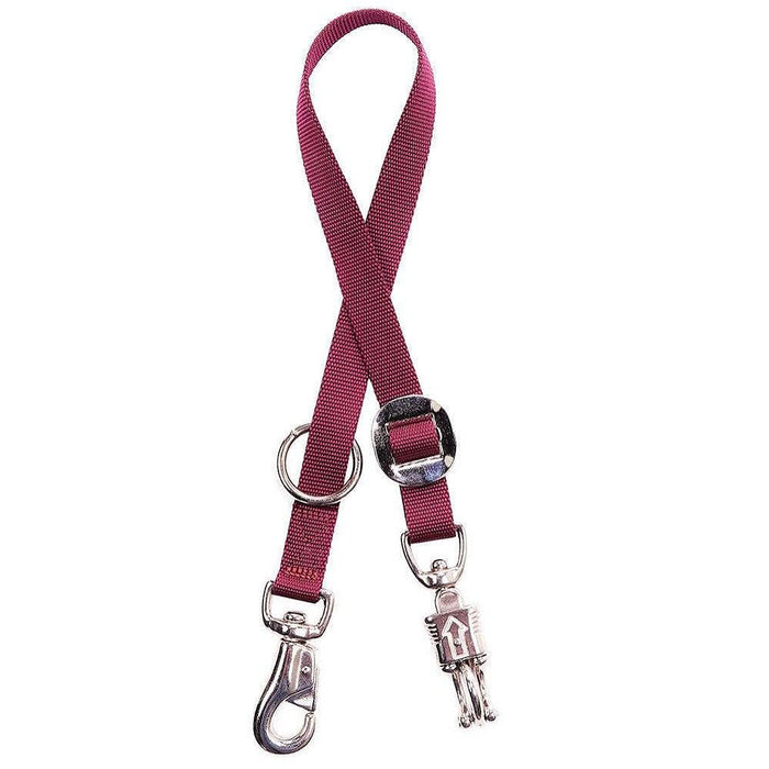 Trailer Tie with Iron Bull Snap