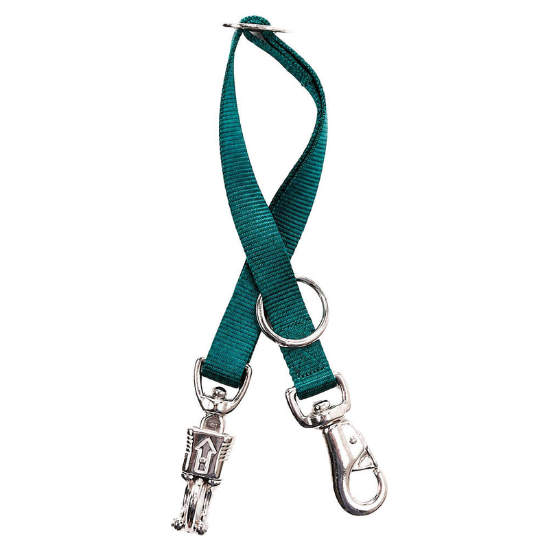 Trailer Tie with Iron Bull Snap