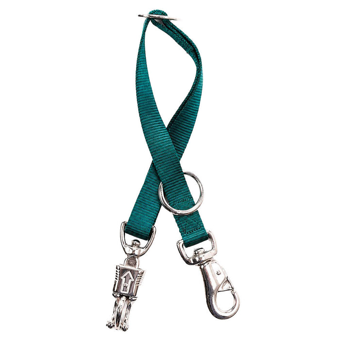 Trailer Tie with Iron Bull Snap