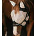 Magnetic Fly Mask with Ears