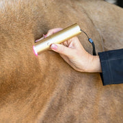 Ignite Handheld Therapy Light