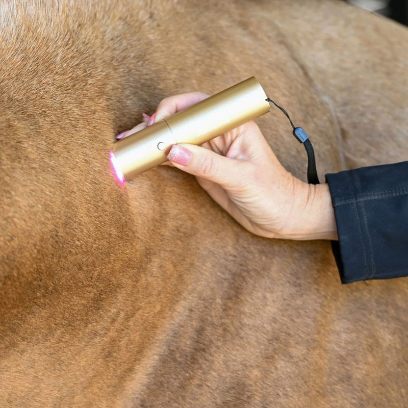 Ignite Handheld Therapy Light