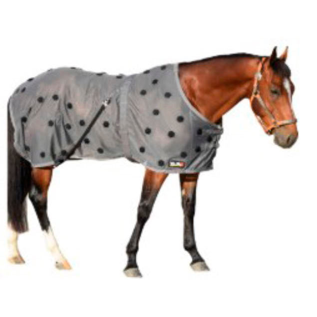 Xlr8 Equine