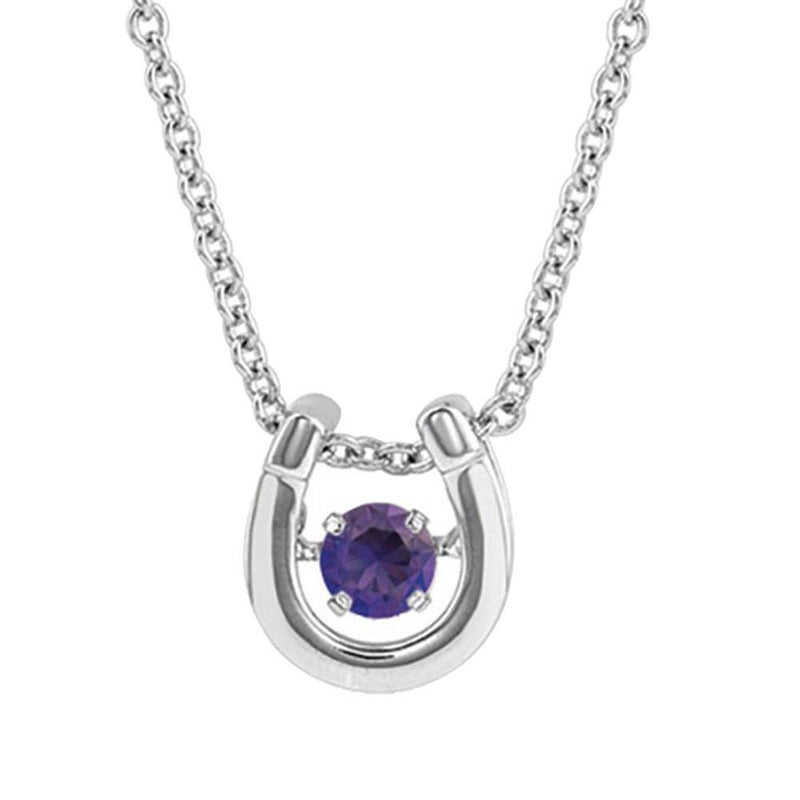 February Birthstone Horseshoe Necklace