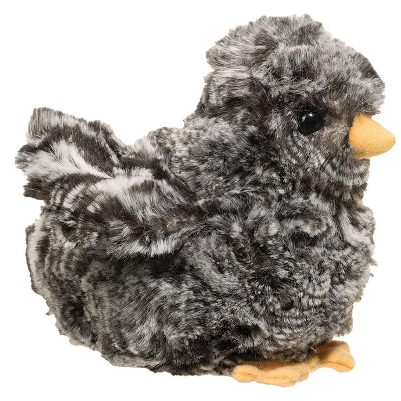 Mini Black Chick