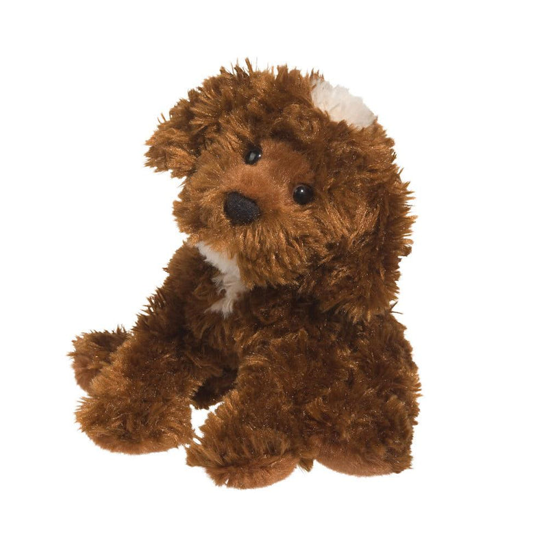 Bos Cholate Labradoodle