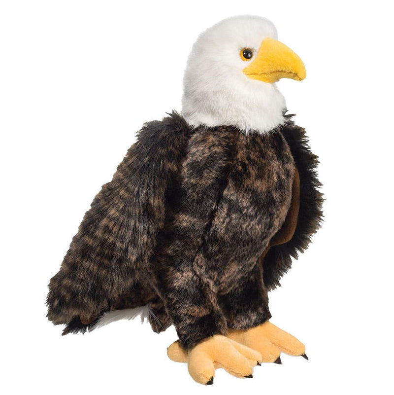 Adler Bald Eagle