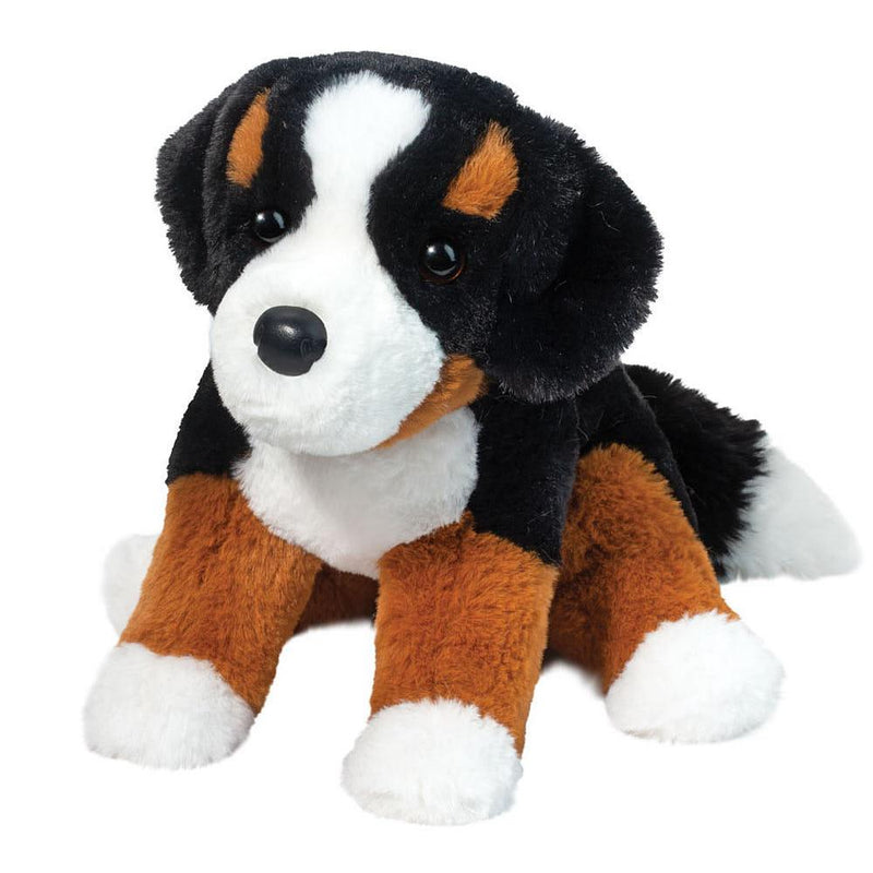 Bowie Bernese Mountain Dog
