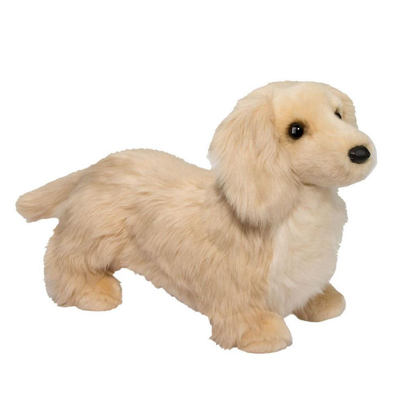 Haisley Golden Dachshund