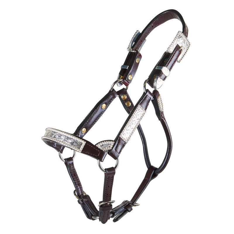 Santana Weanling Congress Cut Show Halter