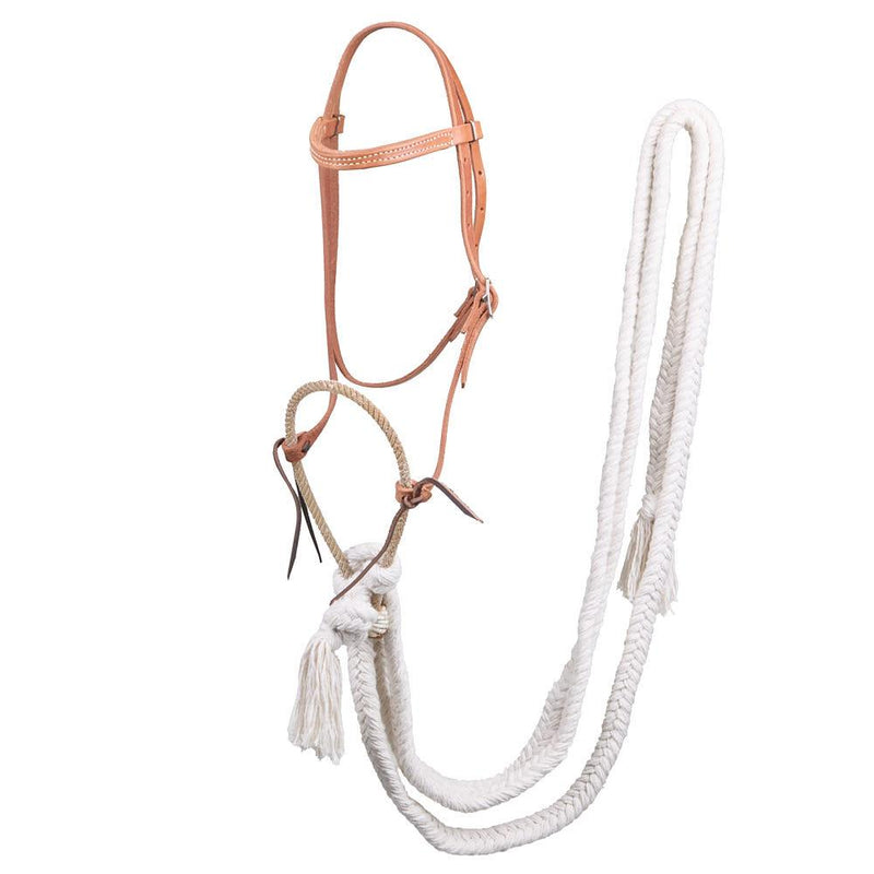 Pony Breaking Bridle