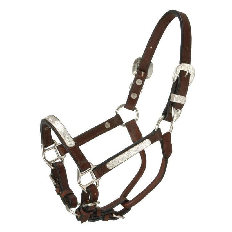 Silver Pony Leather Show Halter