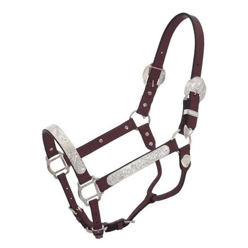 Silver Horse Dark Oil Leather Show Halter