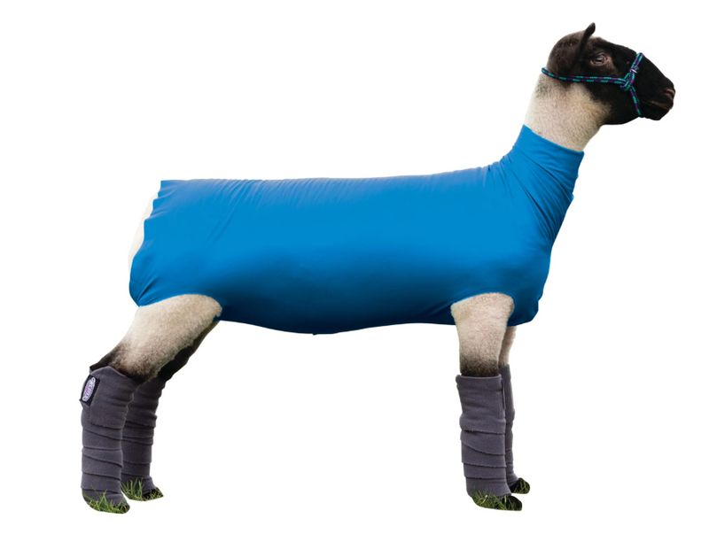 Spandex Sheep Tube Small Blue