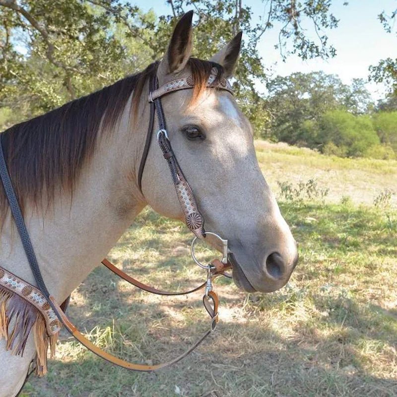 Circle Y Saddlery Desert Racer Browband Headstall