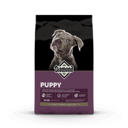 Puppy 20LB