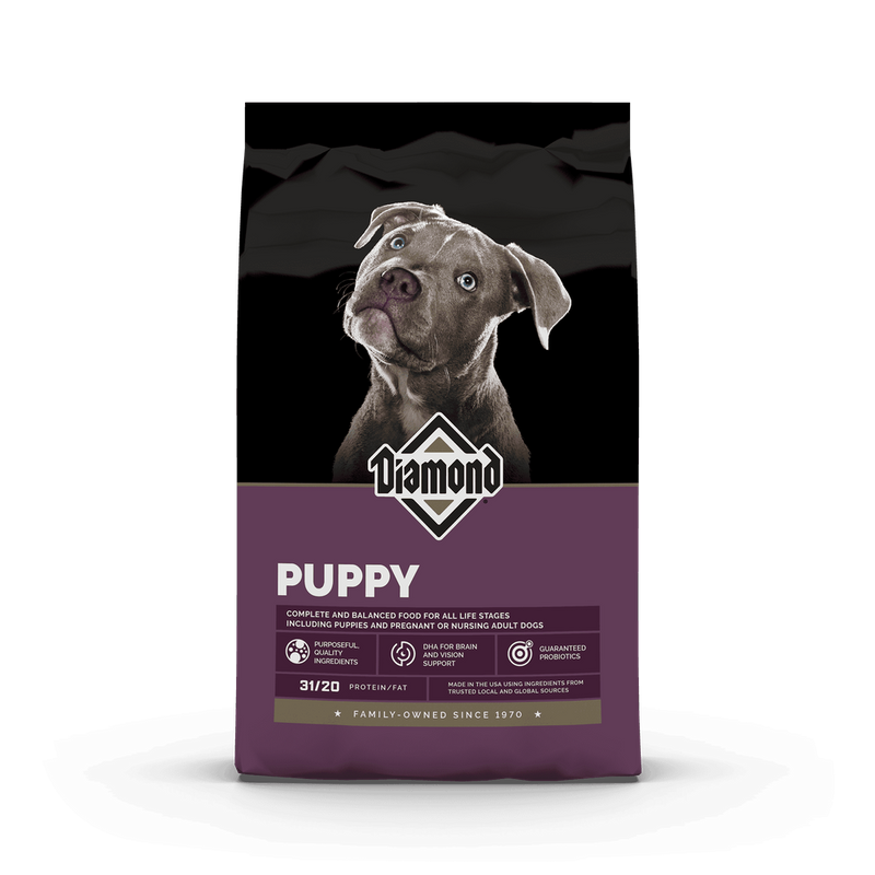 Puppy 20LB
