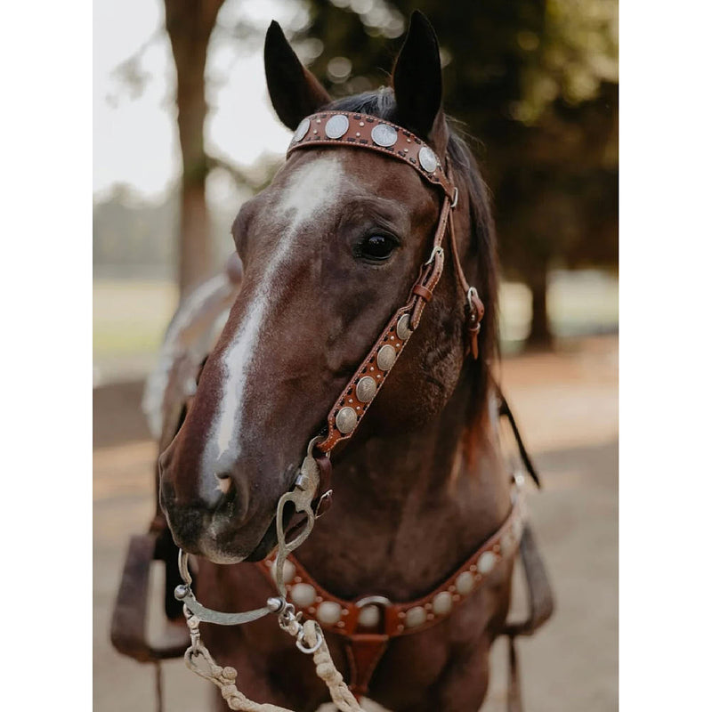 Brown Dinero Single Ear Headstall