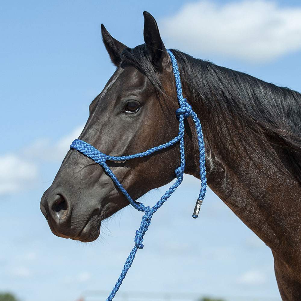 CASHEL KNOTLESS HALTER (HTR-KL-H)