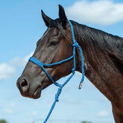 Flat Braid Halter w/9ft Lead