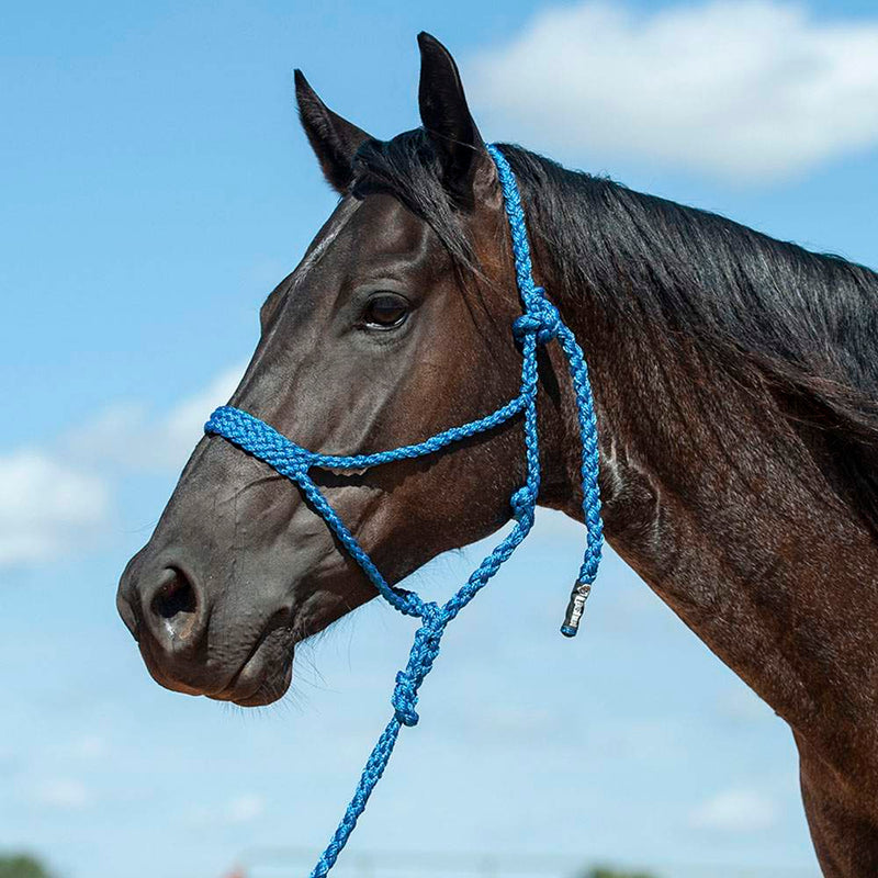 Flat Braid Halter w/9ft Lead