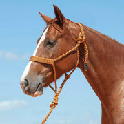 Flat Braid Halter w/9ft Lead