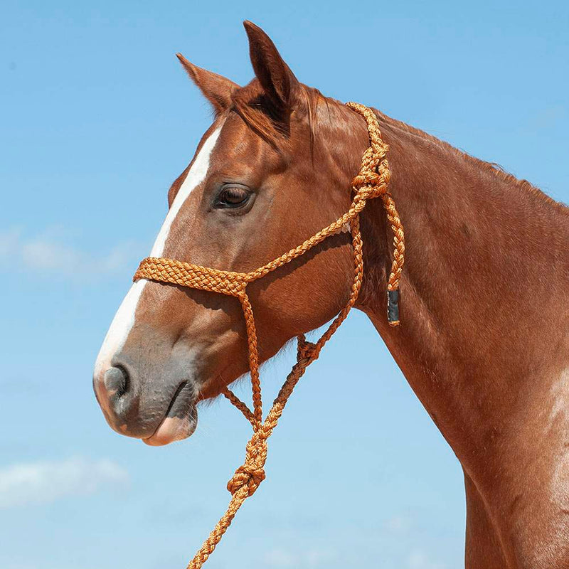 Flat Braid Halter w/9ft Lead