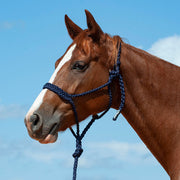 Flat Braid Halter w/9ft Lead