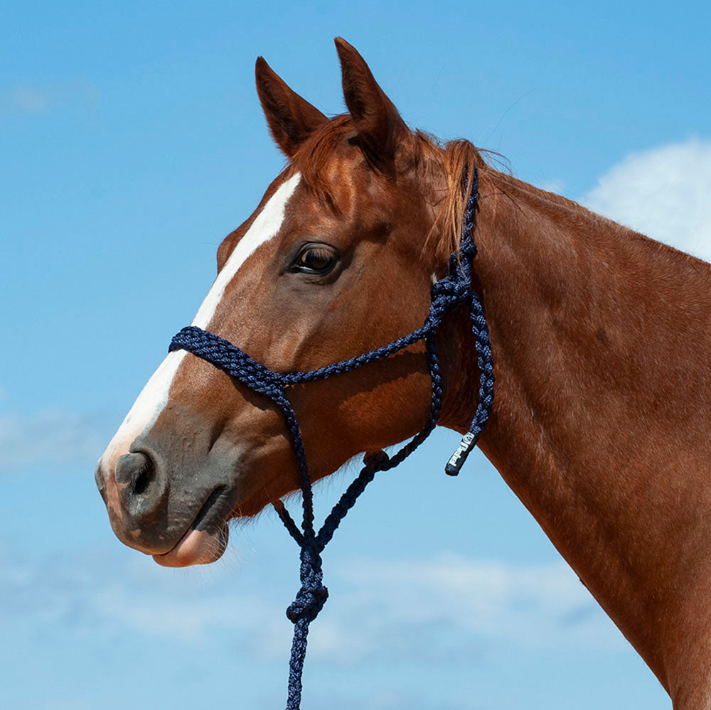 Cashel Company Horse Products