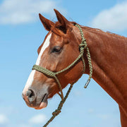 Flat Braid Halter w/9ft Lead
