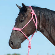 Flat Braid Halter w/9ft Lead