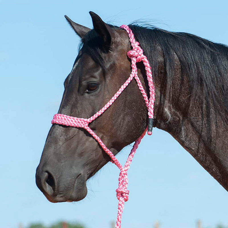Flat Braid Halter w/9ft Lead
