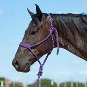 Flat Braid Halter w/9ft Lead