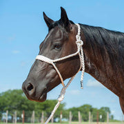 Flat Braid Halter w/9ft Lead