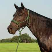 Flat Braid Halter w/9ft Lead