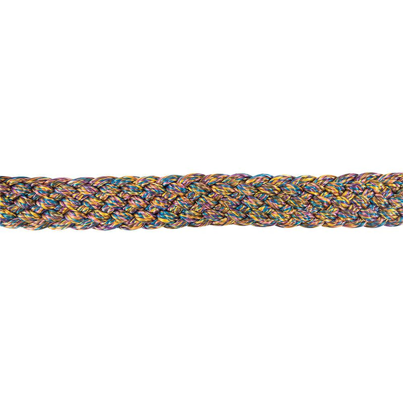 Flat Braid Halter w/9ft Lead