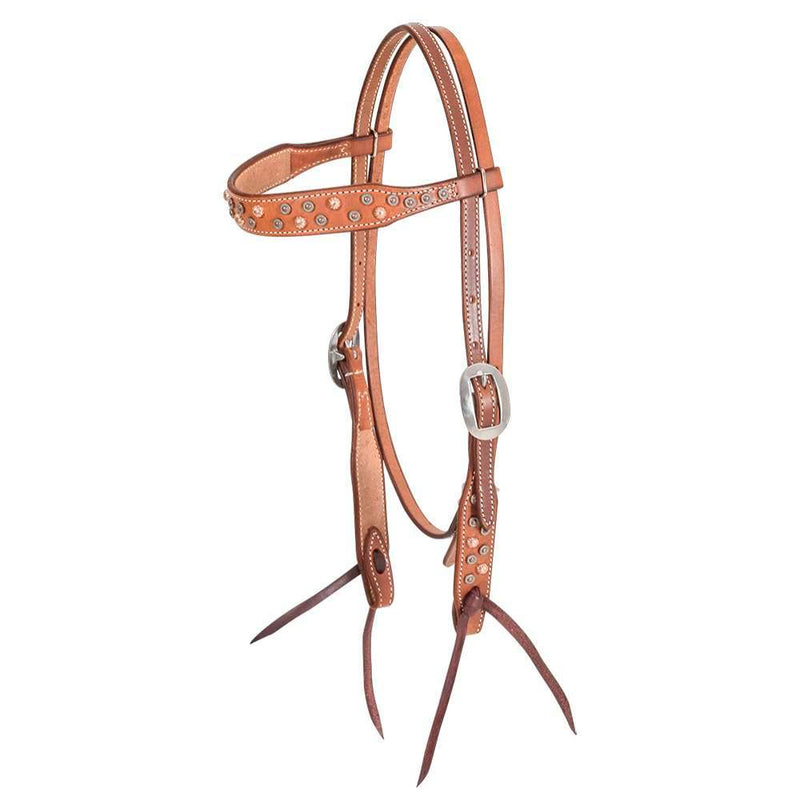 Martin Saddlery Chocolate Skirting Browband Headstall w/Copper Dots