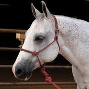 Easy On Rope Halter