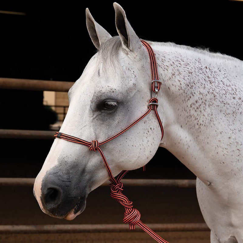 Easy On Rope Halter