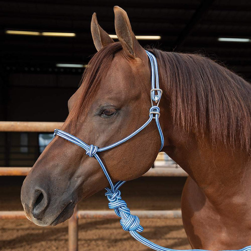 Easy On Rope Halter