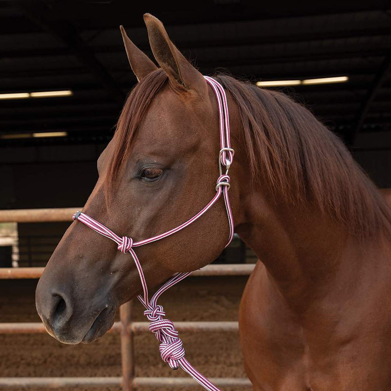 Easy On Rope Halter
