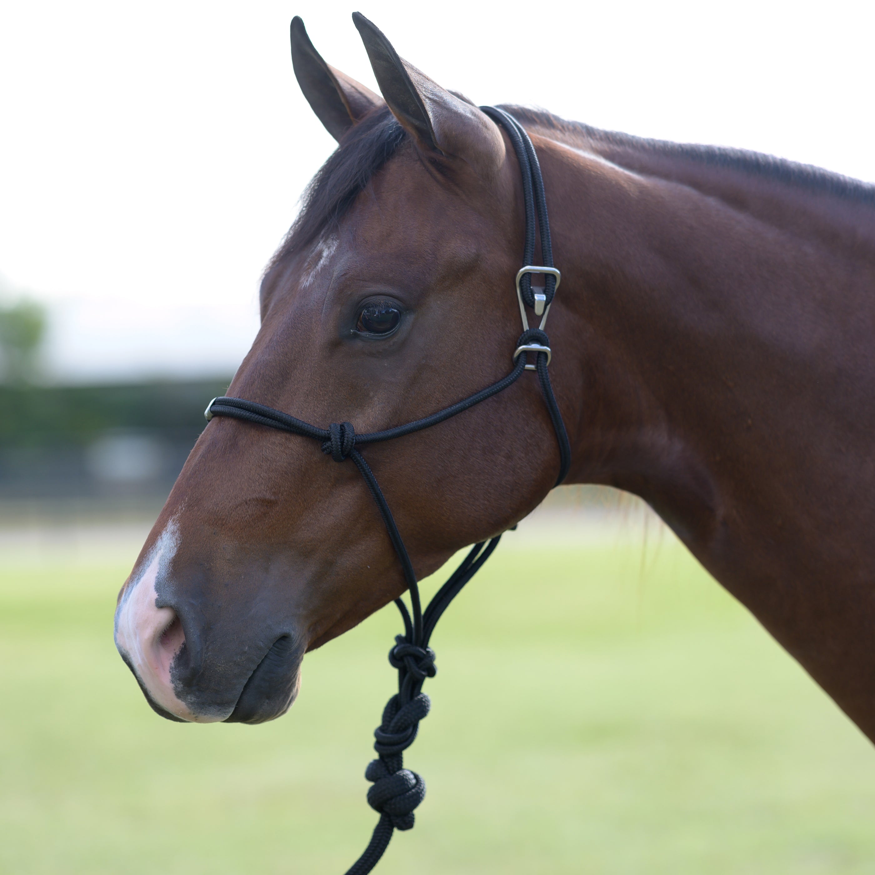 Professionals Choice Easy On Rope Halter