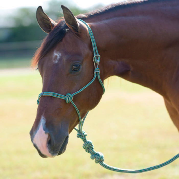 Easy On Rope Halter